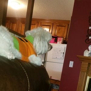 Meet your Posher, Meshon